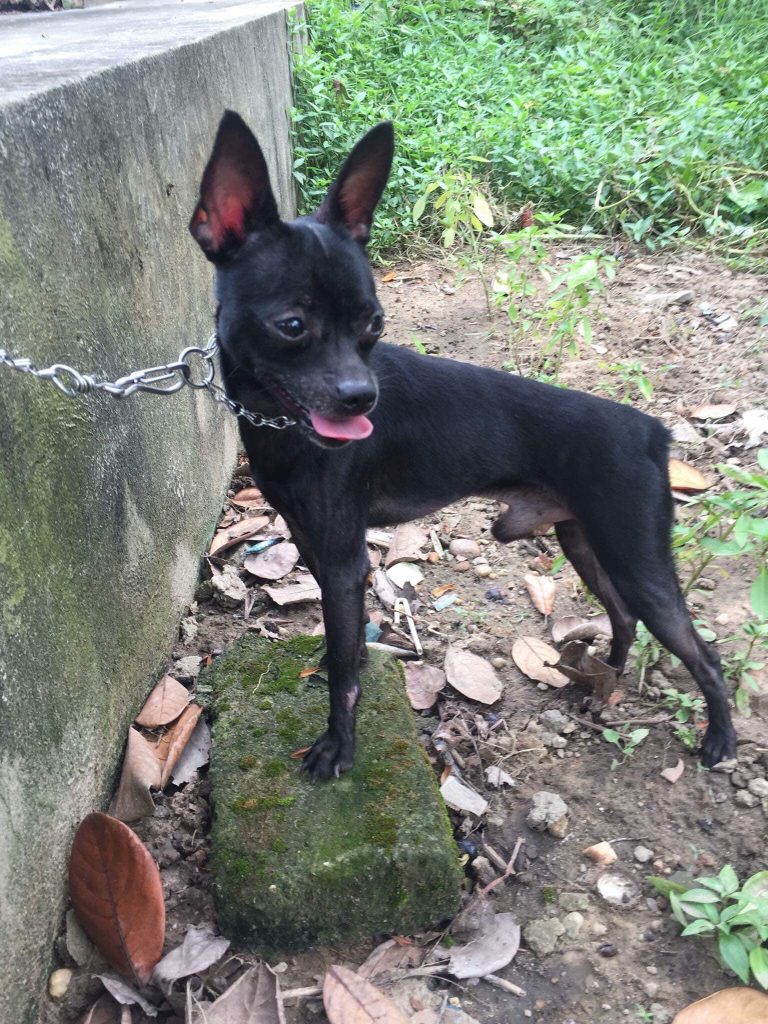 giac mo gap cho danh lo de con nao trung lon