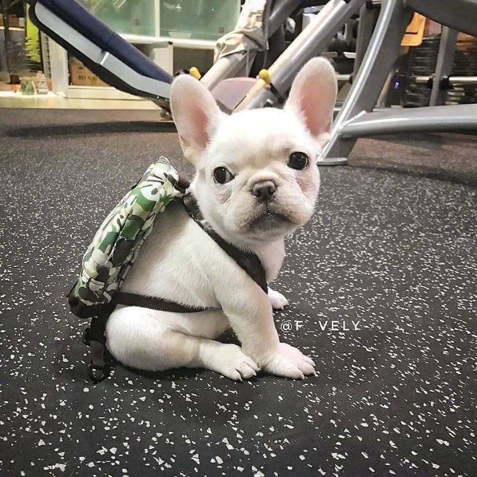 giai ma giac mo gap cho