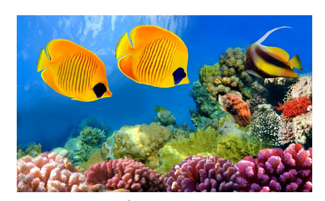 giai ma giac mo thay ca giai ma giac mo thay ca