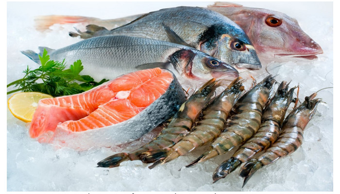 giai ma giac mo thay tom cua ca