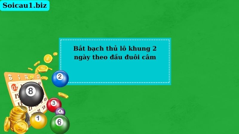 Bắt bạch thủ lô khung 2 ngày theo đầu đuôi câm