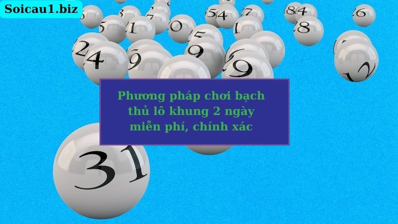 Phương pháp chơi bạch thủ lô khung 2 ngày miễn phí, chính xác