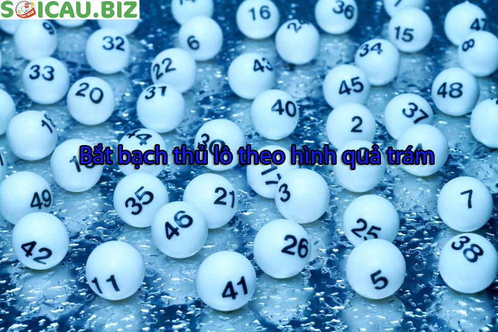 Bắt bạch thủ lô theo hình quả trám