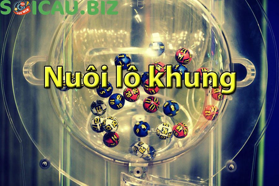 Nuôi lô khung MB 2, 3 ngày chuẩn xác, miễn phí