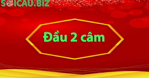 Đầu 2 câm đánh con gì? Kinh nghiệm đánh lô câm đầu 2