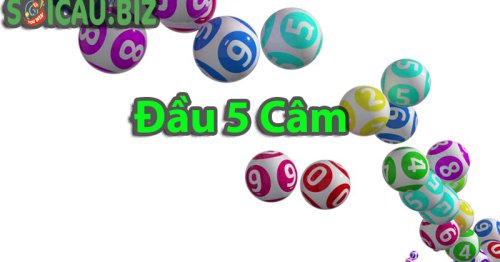 Đầu 5 câm hôm sau đánh lô đề con gì dễ trúng?