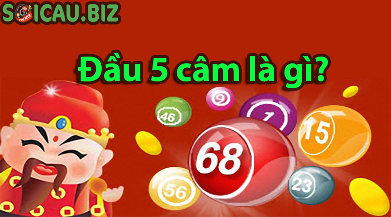 Đầu 5 câm là gì?