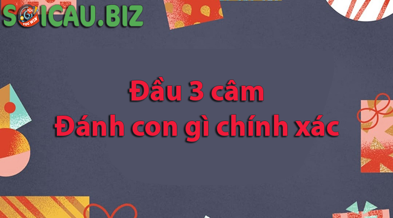 Đầu 3 câm đánh đánh con gì chính xác