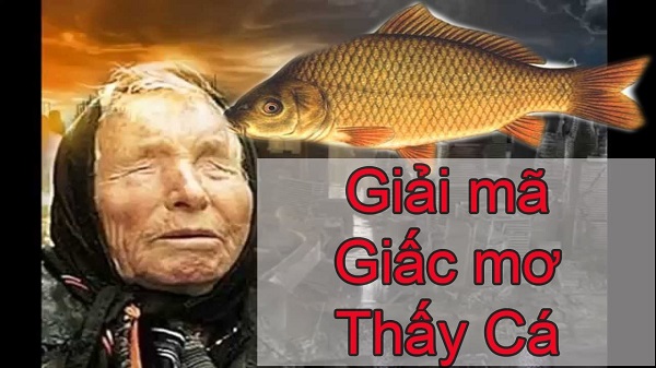 Giải mã giấc mơ thấy cá chép hóa rồng