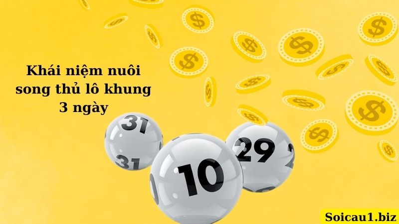 Khái niệm nuôi song thủ lô khung 3 ngày