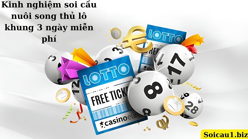 Kinh nghiệm soi cầu nuôi song thủ lô khung 3 ngày miễn phí