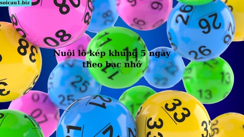 Nuôi lô kép khung 5 ngày theo bạc nhớ