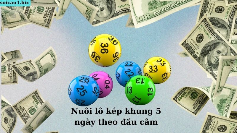 Nuôi lô kép khung 5 ngày theo đầu câm
