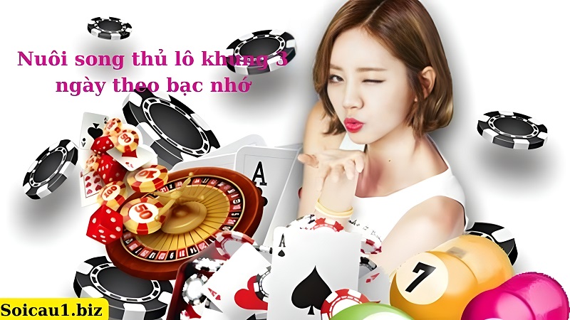 Nuôi lô song thủ khung 3 ngày theo bạc nhớ