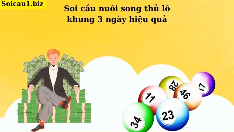 Soi cầu nuôi lô song thủ khung 3 ngày hiệu quả