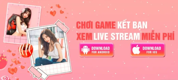 Lợi ích khi bẻ khóa ChichLive