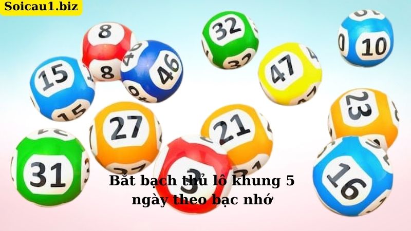 Bắt bạch thủ lô khung 5 ngày theo bạc nhớ