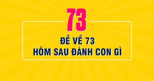 Đề về 73 hôm sau đánh con gì? Thống kê chi tiết đề về 73