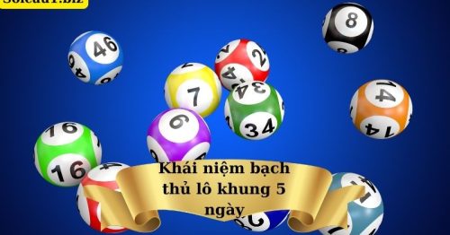 Nuôi bạch thủ lô khung 5 ngày 247 bất bại, chuẩn xác
