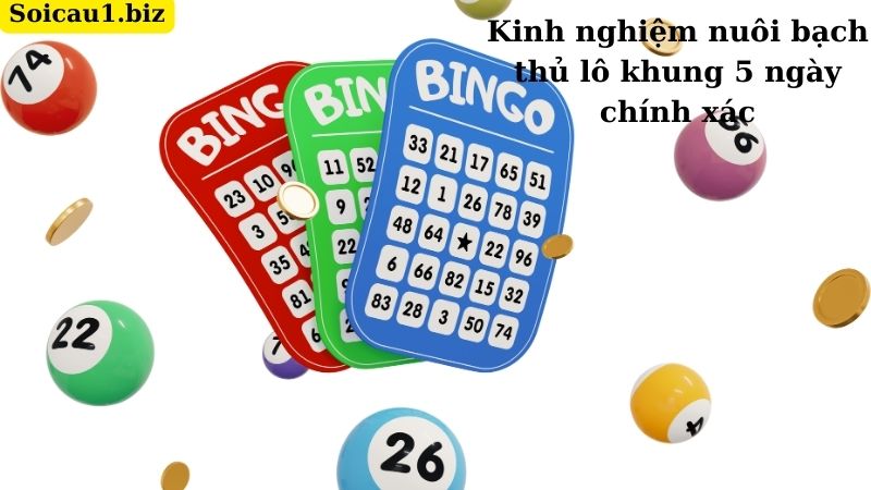 Kinh nghiệm nuôi bạch thủ lô khung 5 ngày chính xác