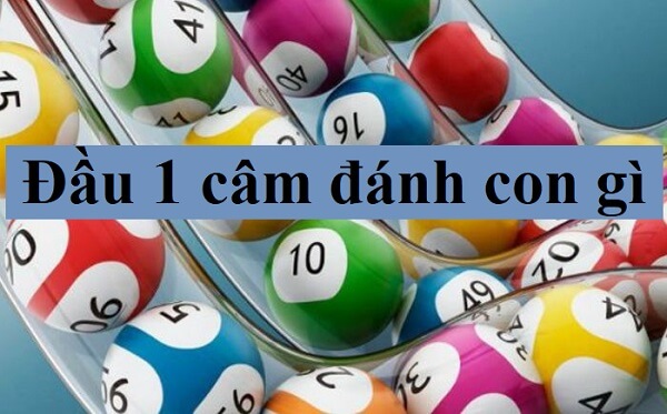 Đầu 1 câm hôm sau đánh con gì, số mấy