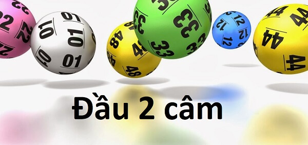 Đầu 2 câm hôm sau đánh con gì chính xác nhất 1