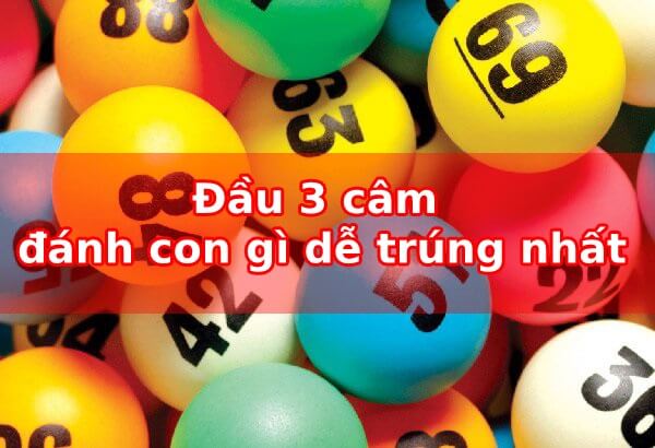Đầu 3 câm đánh đề con gì, số nào chính xác nhất 3