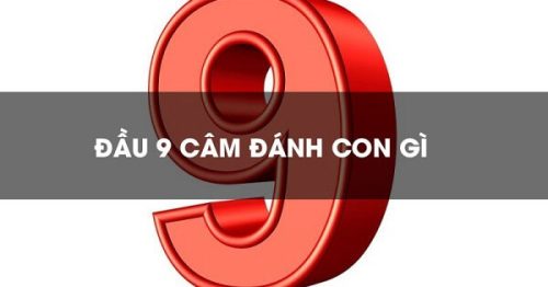 Đầu 9 câm hôm sau đánh con gì chuẩn nhất
