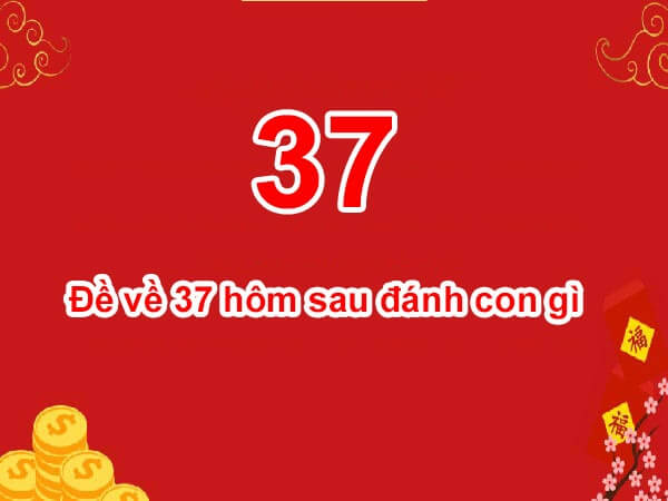 Đề về 37 hôm sau đánh con gì? Thống kê chi tiết đề về 37 1