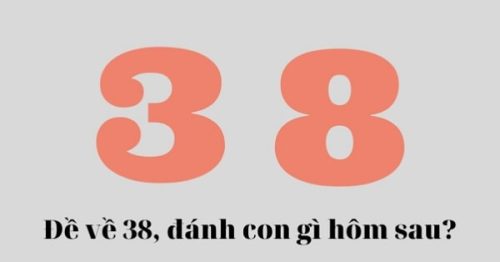 Đề về 38 hôm sau đánh con gì? Thống kê chi tiết đề về 38