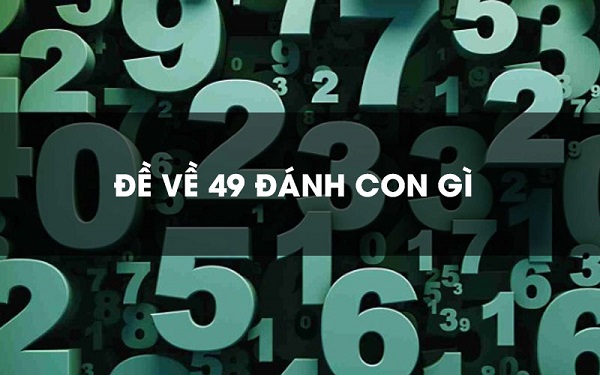 Đề về 49 hôm sau đánh con gì? Thống kê chi tiết đề về 49 1