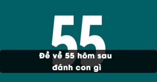 Đề về 55 hôm sau đánh con gì? Thống kê chi tiết đề về 55