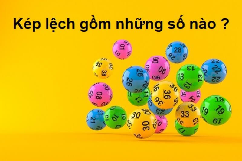 Kép Lệch Gồm Những Con Nào Không Phải Ai Cũng Biết