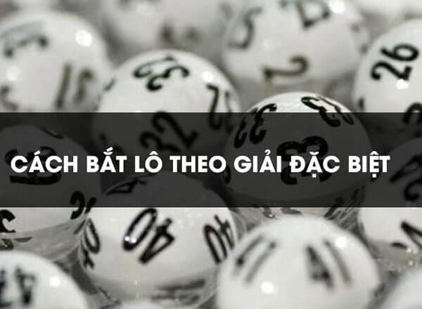 Kinh Nghiệm Và Cách Bắt Lô Theo Giải Đặc Biệt Hiệu Quả