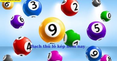 Bạch thủ lô kép hôm nay – Soi cầu lô kép miễn phí, chính xác