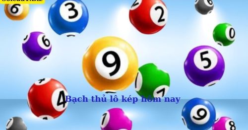 Bạch thủ lô kép hôm nay – Soi cầu lô kép miễn phí, chính xác