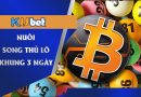 Hướng dẫn cách nuôi song thủ lô khung 3 ngày Kubet chi tiết nhất