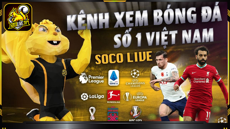 Mẹo giúp bạn tận hưởng trọn vẹn từng khoảnh khắc trên Socolive