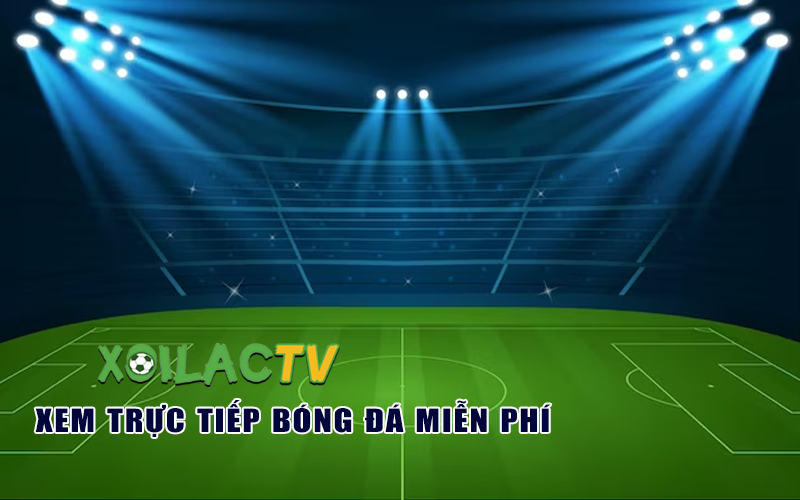 Tổng hợp các thông tin bên lề giải đấu